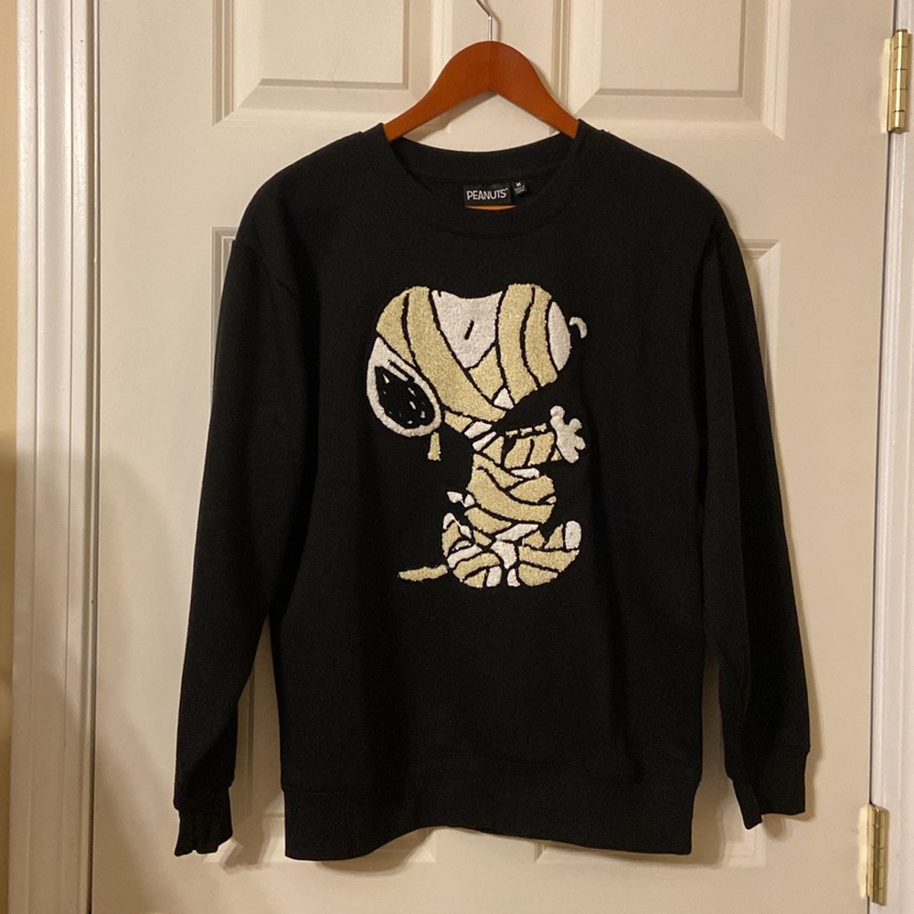 039 NWT Peanuts Snoopy Large for Train - Picture 10 of 14